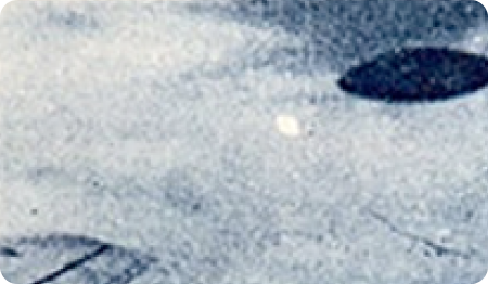 Mantell Case - 1948
